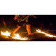 FIRE WALKING CEREMONY IN TEMPLES FIRE WALKING CEREMONY IN TEMPLES