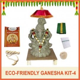 Eco-Friendly Ganesha Kit - 4