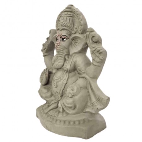 Customized Eco-Friendly Ganesha Kit 2