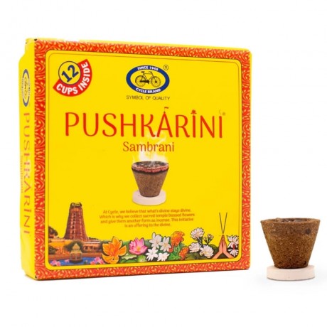 Pushkarini Sambrani