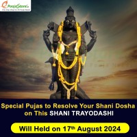Shani Trayodashi Special Shani Dosha Pujas and Masa Shivaratri Special Rudrabhishekam