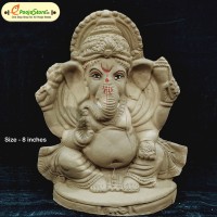 Eco Friendly Ganesha Idol