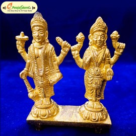 Lord Vishnu Lakshmi ( Standing position)