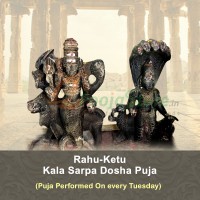 Rahu Ketu Puja For KalaSarpa Dosha To Nullify The Malefic Effects (Puja Performed On Tuesday)
