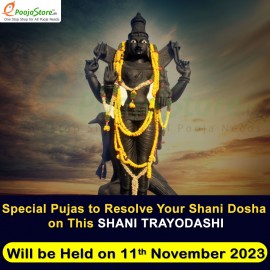 Shani Trayodashi Special Shani Dosha Pujas and Masa Shivatri Special Rudrabhishekam on (11th November 2023)