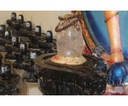 Maha Shivaratri Special Maha Lingarchana Sahitha Maha Pasupatha Homam and 108 Kalasabhishekam on 26th Feb 2025