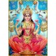Any Nakshatra should recite that Nakshatra Gayatri 9 times a day  