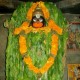 How to Worship Hanuman?