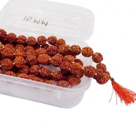 Rudraksha Mala (10 MM)