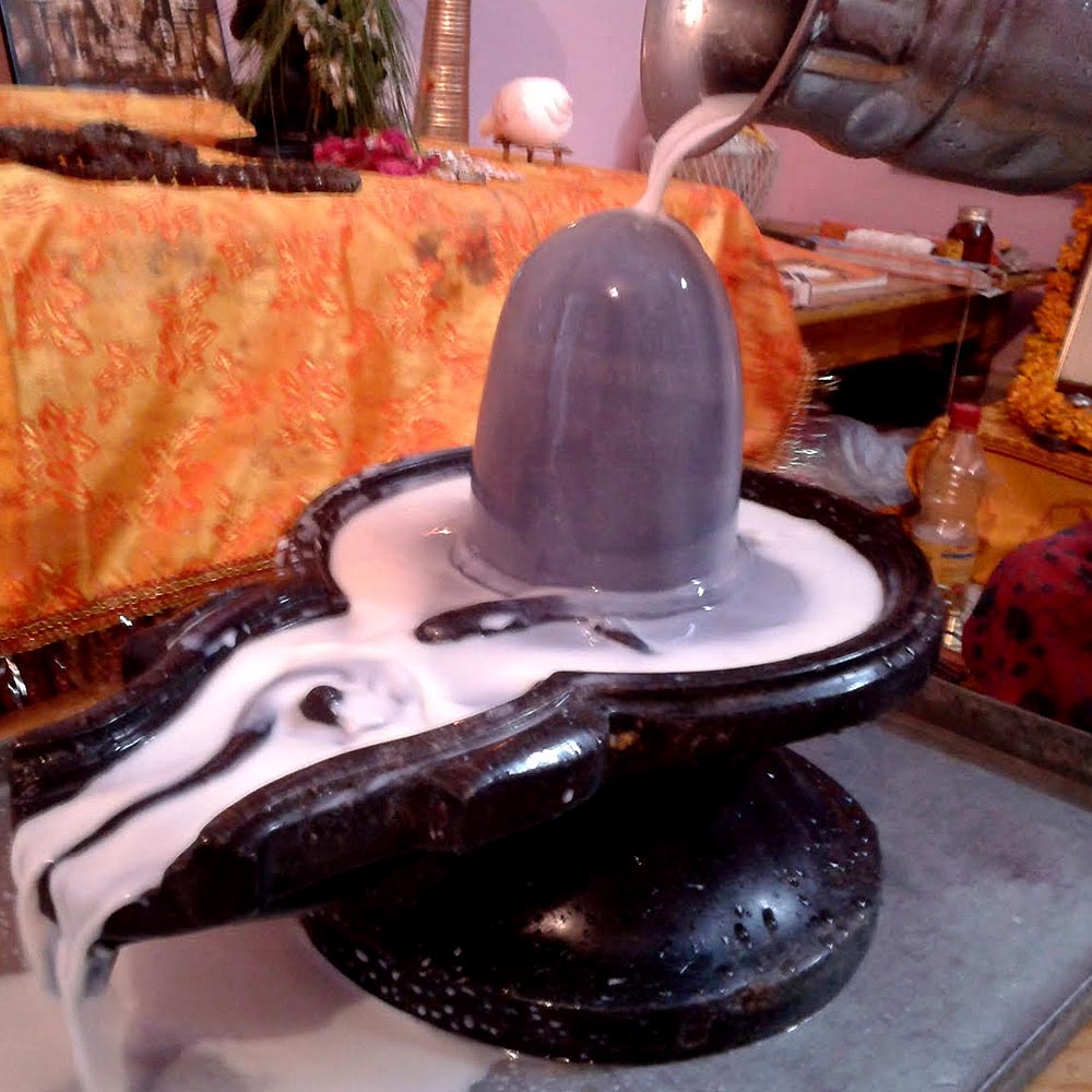 Pooja Samagri Kit for Lord Shiva Abhishekam Pooja Samagri Kit for Lord Shiva Abhishekam