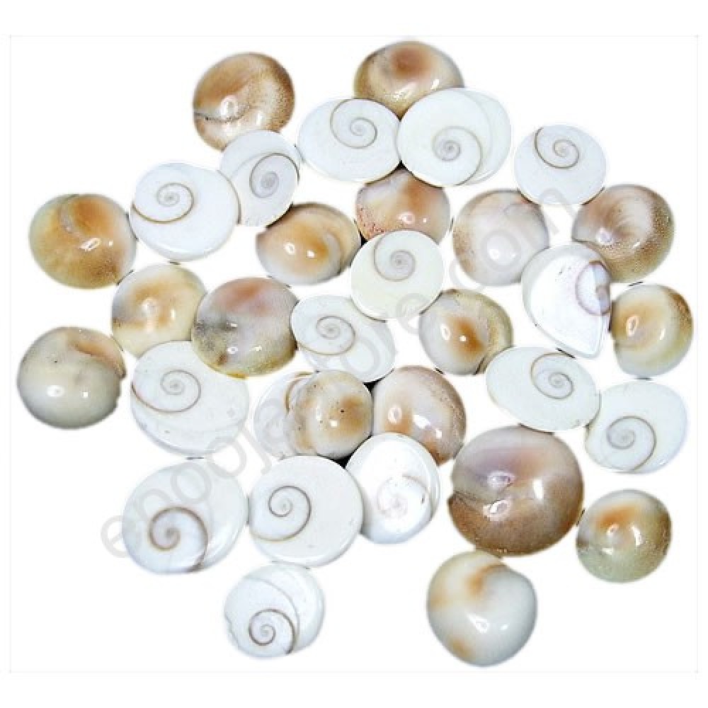 Gomati Chakram (For 9 pieces) Gomati Chakram (For 9 pieces)
