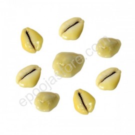 Lakshmi Gavvalu (Cowrie) (For 9 pieces)