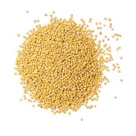White Mustard Seeds (Tella Avvallu) (250 Grams)       