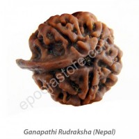 Ganesha Rudraksha