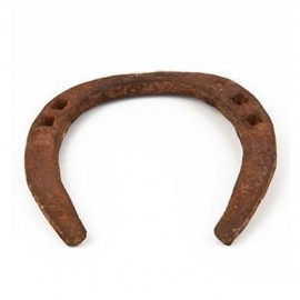 Black Horse Shoe Ring (Gurram Nada)