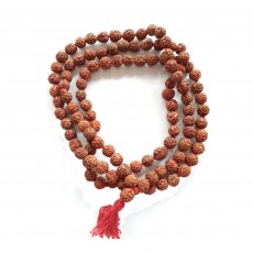 Rudraksha Dharana