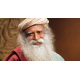 SADHGURU SADHGURU