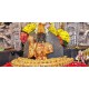 ఉత్తరాంధ్రా ప్రజల కొంగు బంగారం ఉత్తరాంధ్రా ప్రజల కొంగు బంగారం