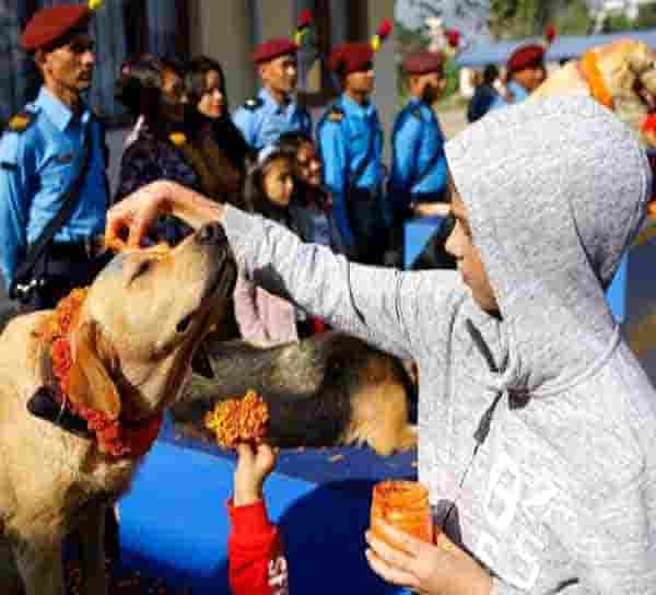 DOG PUJA FESTIVAL