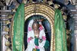 Muthu Sattanathar