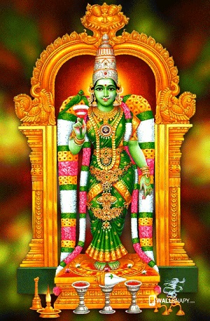 Meenakshi Amman Meenakshi Amman