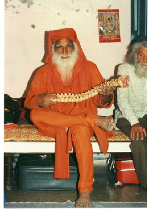 Swami Dev Murti