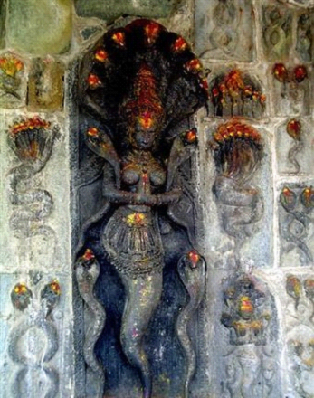 Worshiping of snake deities